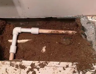 张家川测漏水哪家好