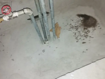 张家川卫生间测漏水价格明细