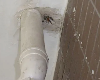 张家川漏水检测哪家好